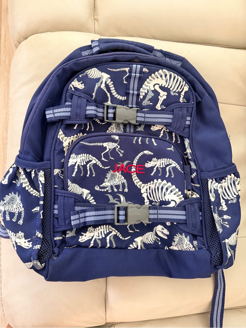 Pottery Barn Dinosaur Kids Backpack
